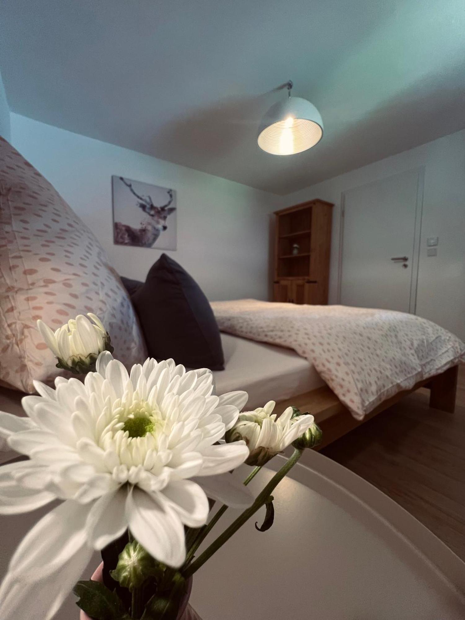 Ferienwohnung Leonie Oberau  Exteriér fotografie